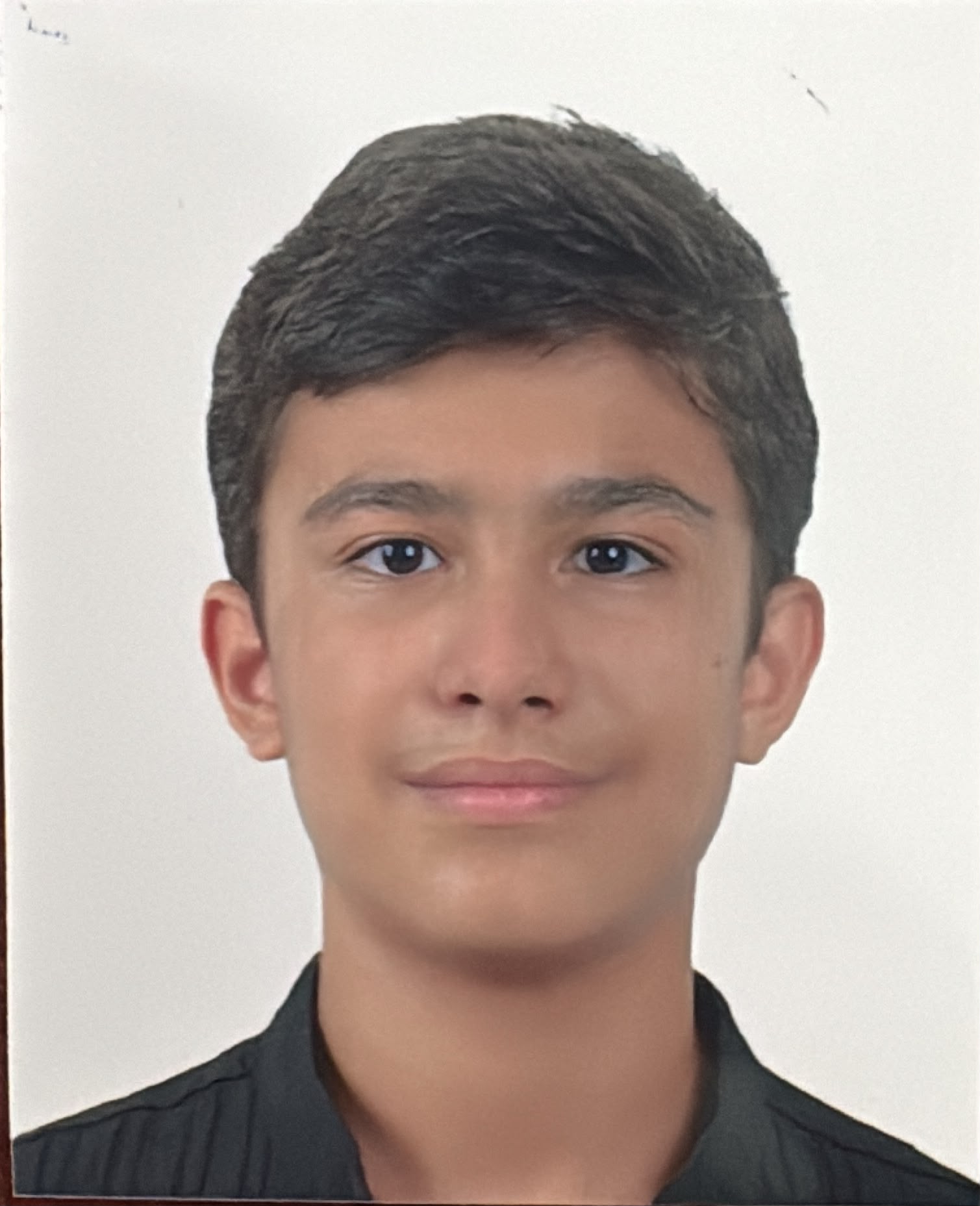 AHMET ALTINAY 
