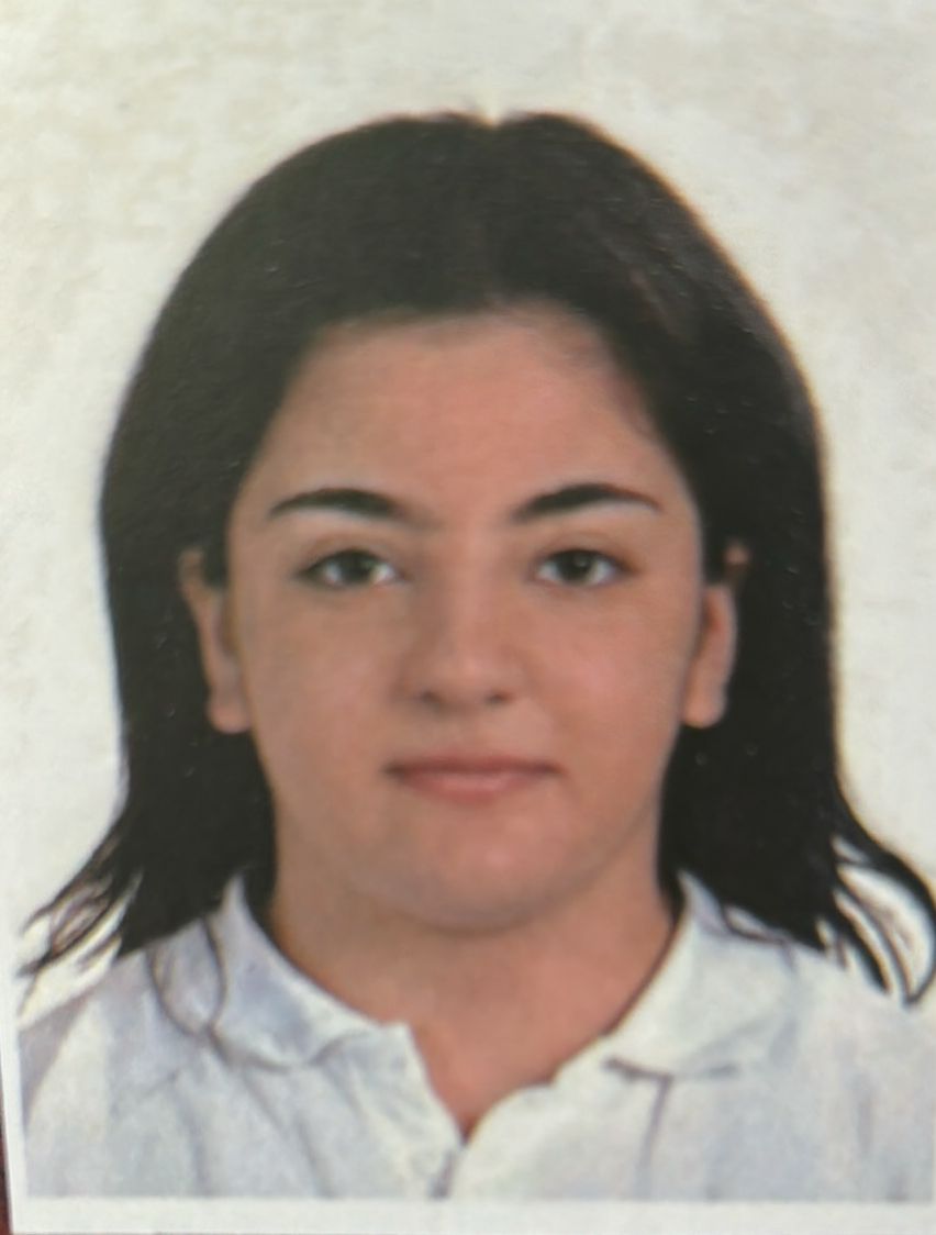 SEMA METE