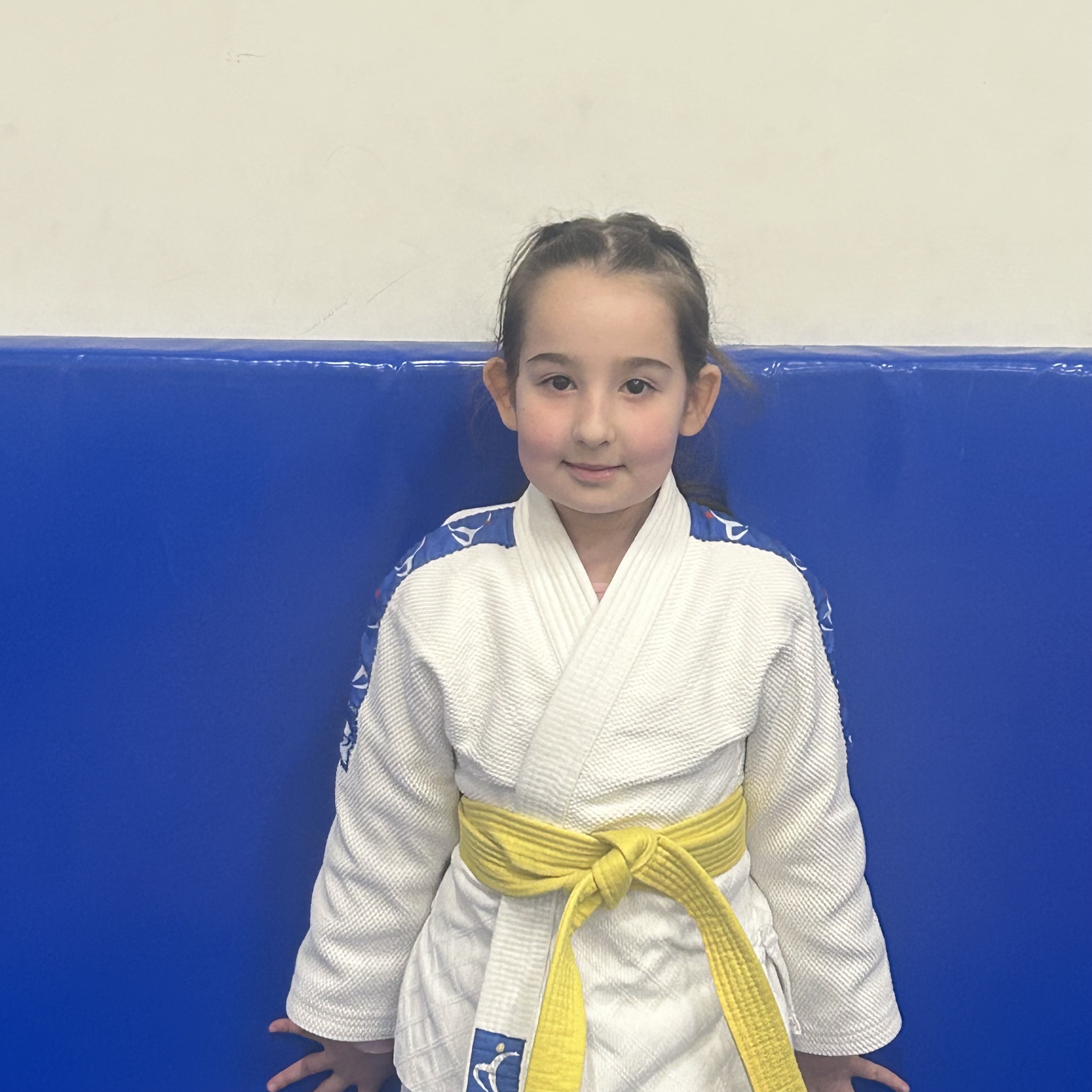 ŞEHRİ MİNA ULUBAHŞİ