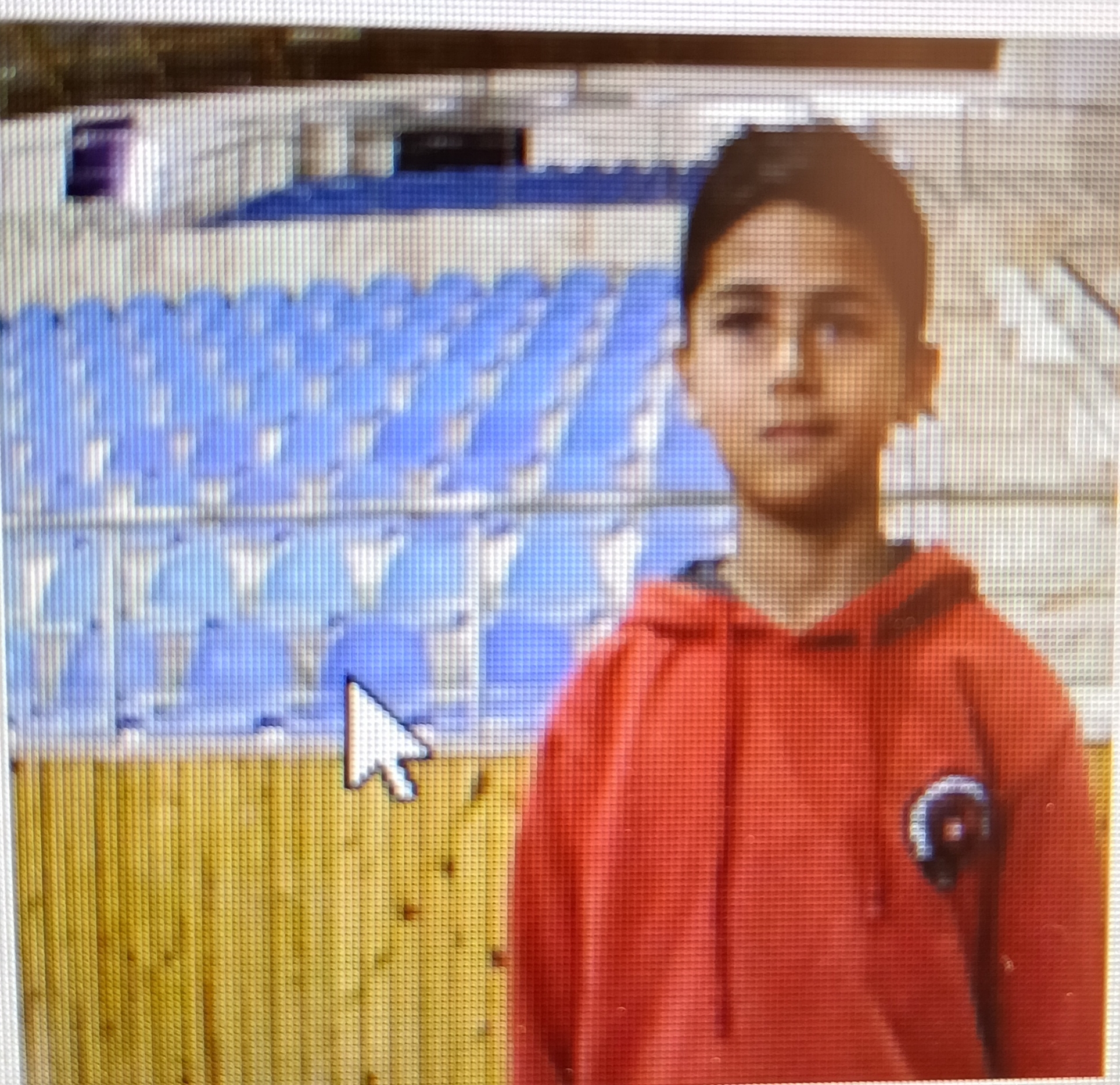 MECİT ALPTUĞ KAYA