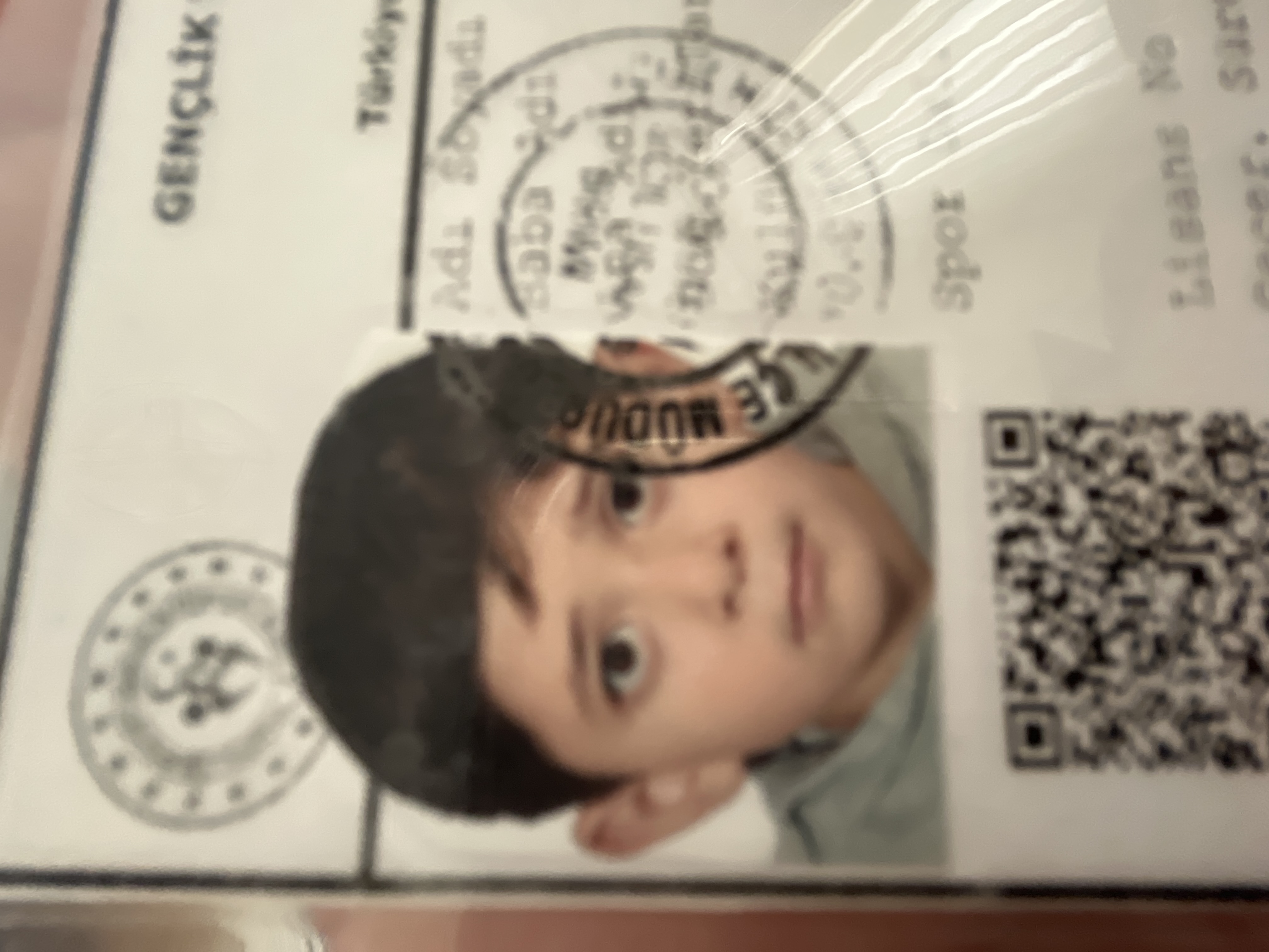 Ömer Ali Kızılsekili