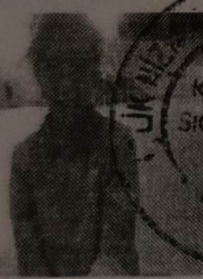 Amine Kargalık