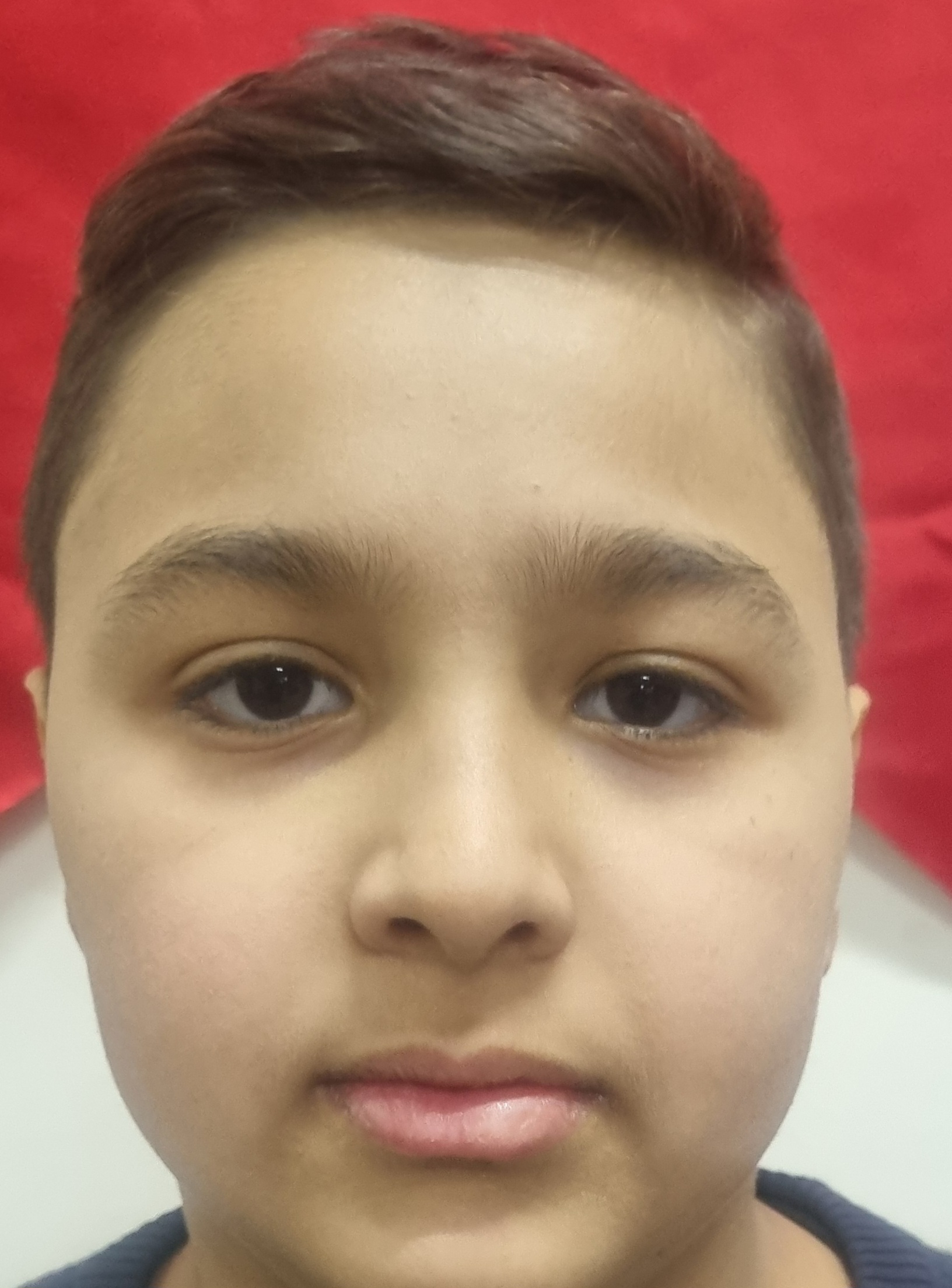 Muhammed Ömer Töre