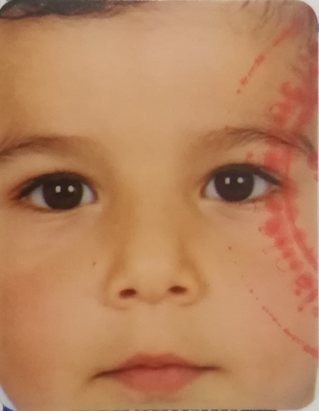 AHMET SELİM SEÇKİN